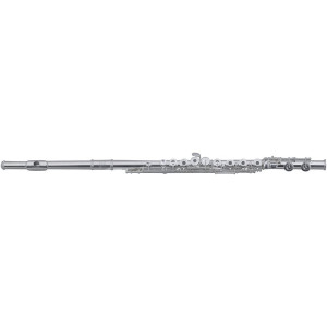 Flauta ROY BENSON FL-602RE